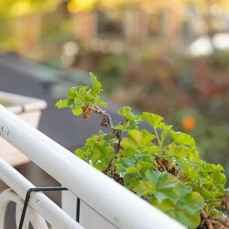 فندق Ufo Boutique