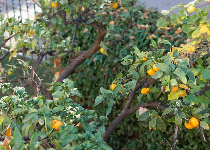 Ufo Boutique Szálloda Tirana