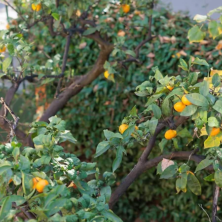 Ufo Boutique Hotel Tirana